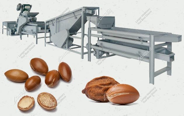 The Most Trustable Peanut & Almond Kernel Chopping Machine Supplier