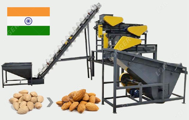 Large Almond Processing Machine Price in India