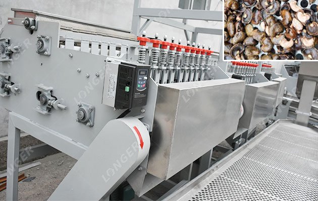 The Price of Automatic Cashew Cutting Machine