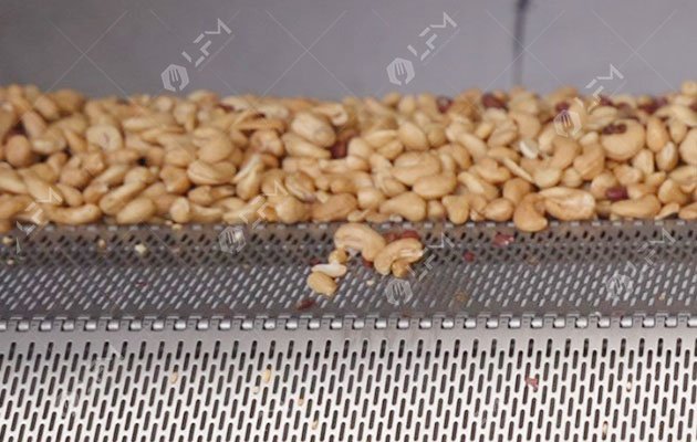 Cashew Nut Roaster Machine With Cooling Function