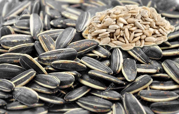 Shelling Sunflower Seeds