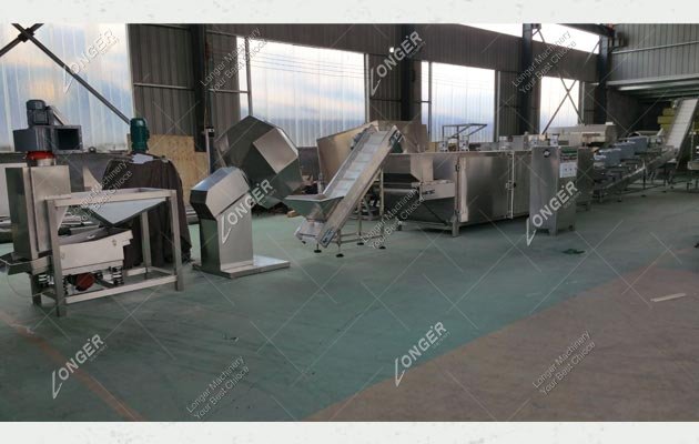 Sunflower Seed Roasting Machine Russia