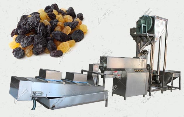 Raisin Cleaning Machine