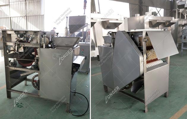 Almond Peeling Machine Price