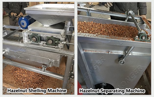 Hazelnut Shelling and Separating Machine in Azerbaijan