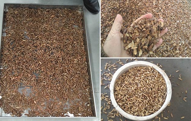 200 KG / H Pine Nuts Shelling Machine Price