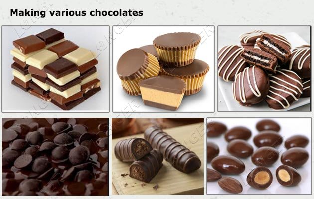 Professional Chocolate Making Equipment Manufacturer