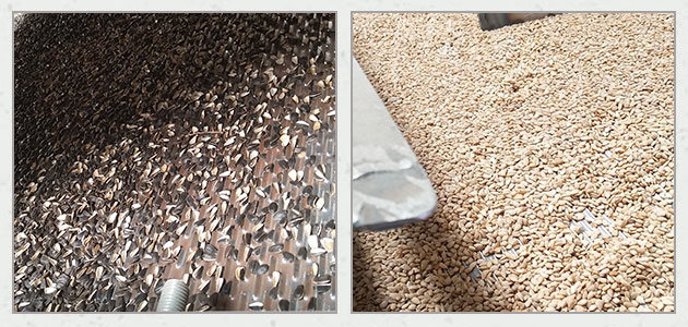 How are Sunflower Seeds Processed to Make Sunflower Seed Kernels?