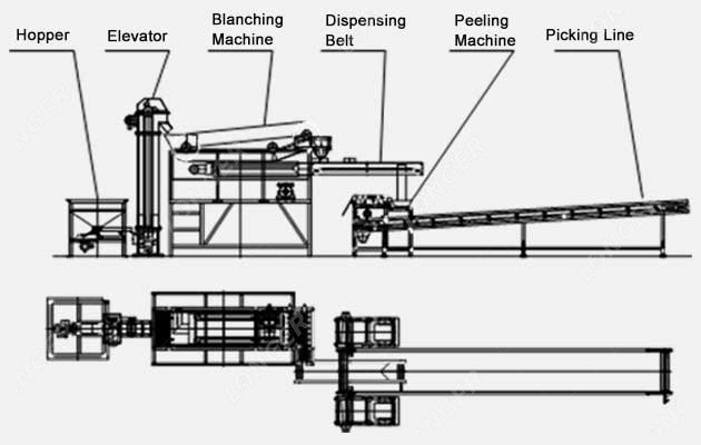 Chickpeas Blanching and Peeling Line Price