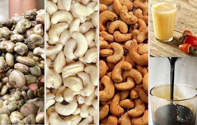 Start Cashew Processing Business