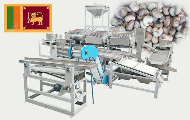 Cashew Nut Cutting Machine Price in Sri Lanka