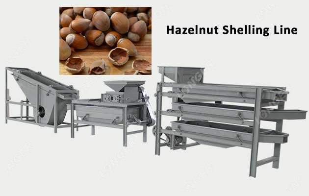 Automatic Hazelnut Shelling Line