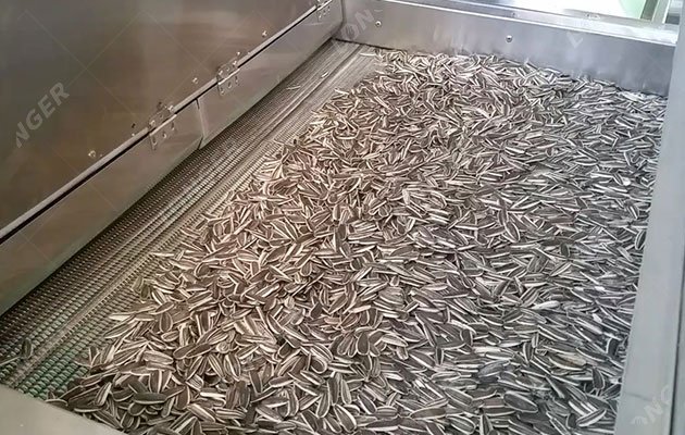 Sunflower Seed Roasting Line in Germany