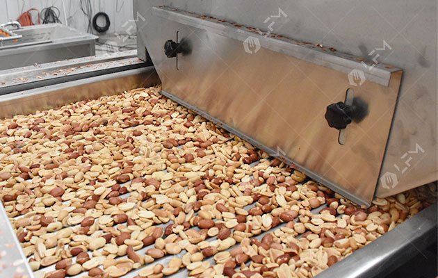 Peanut Peeling and Separating Machine for Sale